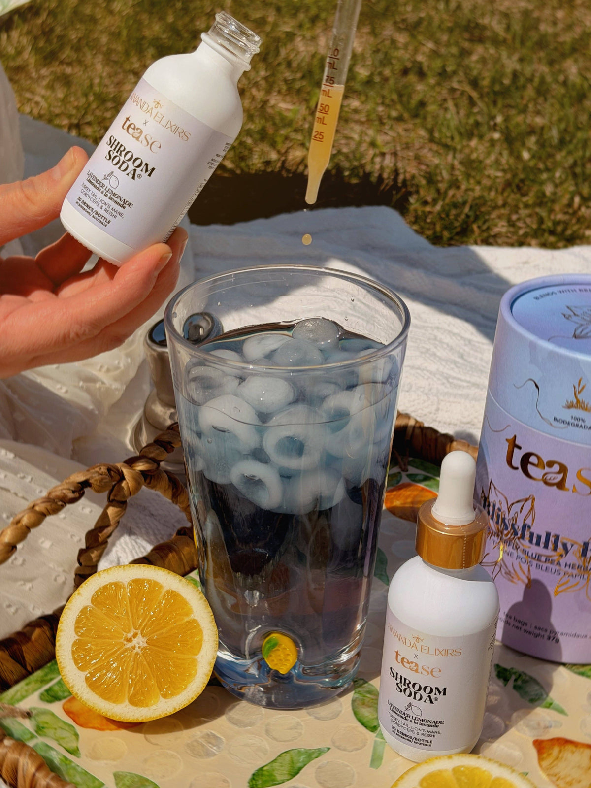 Ananda Elixirs - Shroom Soda®