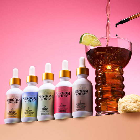 Ananda Elixirs - Shroom Soda®
