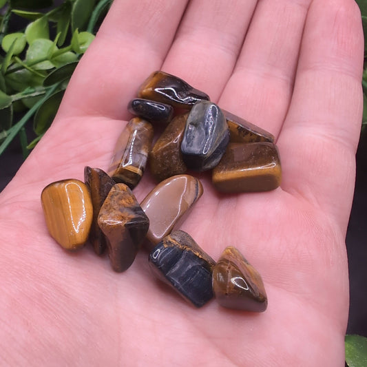 Tiger Eye Tumbled Healing Stone (XS)