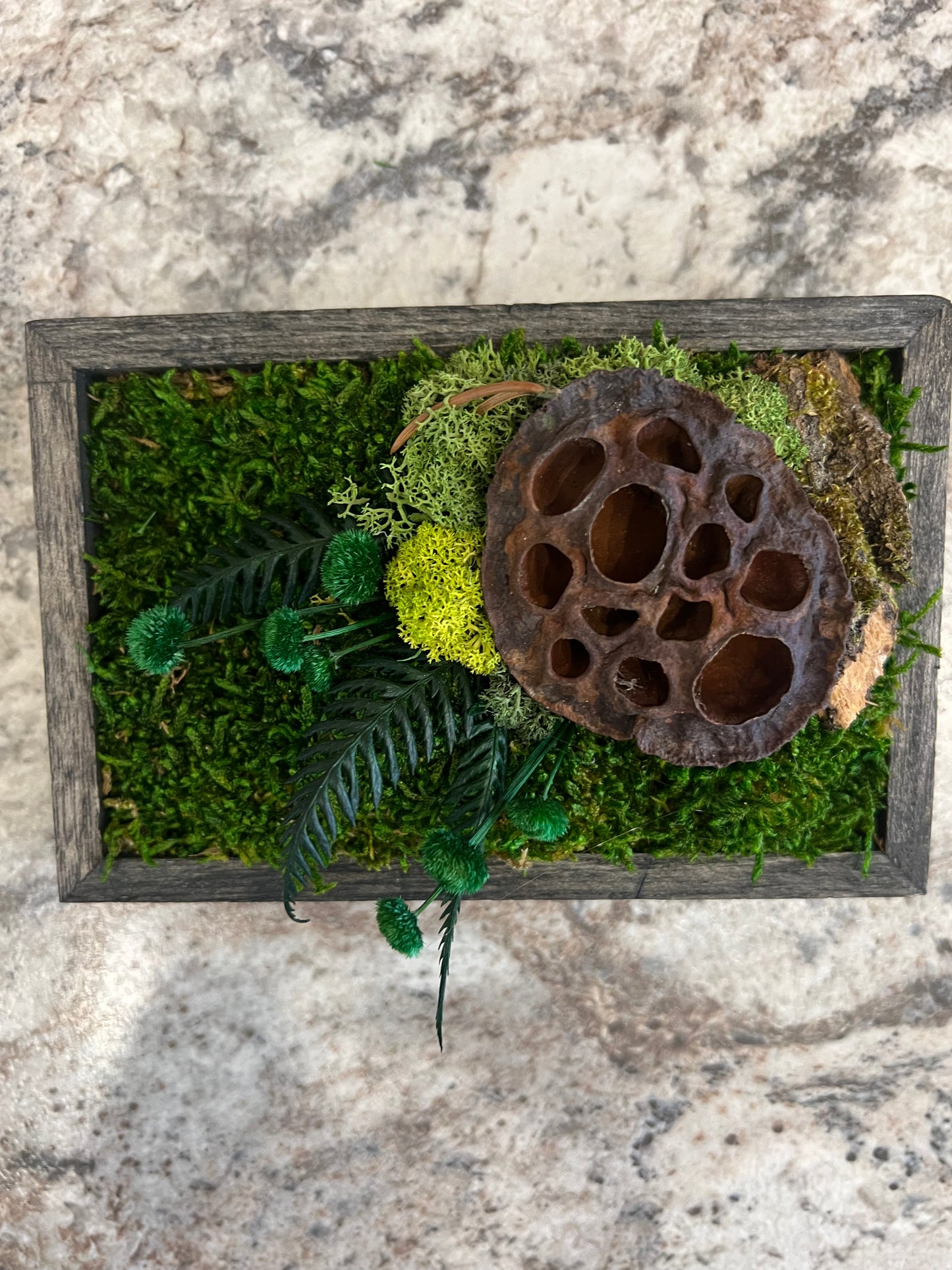 Moss Art