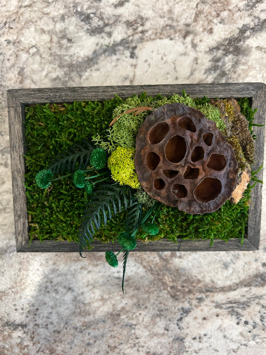 Moss Art