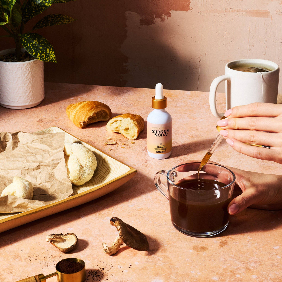 Ananda Elixirs - Shroom Soda®