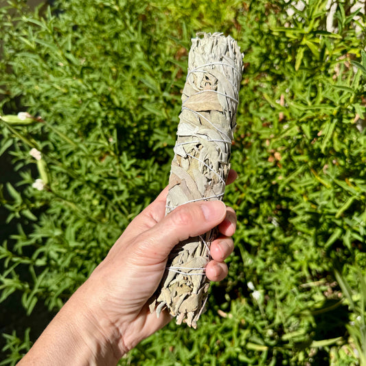 Large White Sage Burn Wands