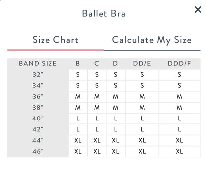 Ballet Nursing Bra